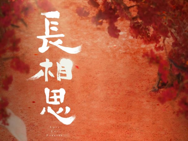 长相思电视剧一共多少集