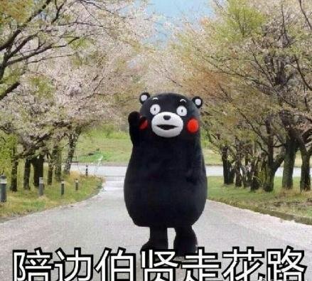 网络用语走花路是什么意思