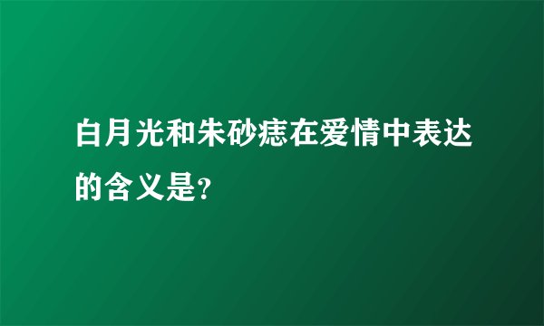 白月光和朱砂痣在爱情中表达的含义是？