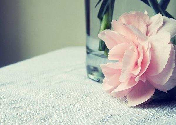 我一个朋友不会处事，也有小毛病，但是对待认可他的人一心一意，我几次遇到困难他都在我身边陪伴我…