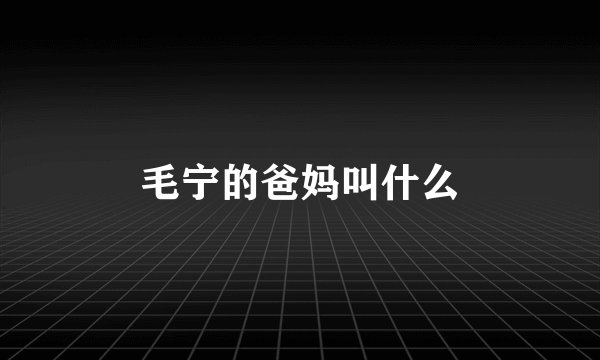 毛宁的爸妈叫什么