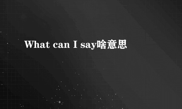What can I say啥意思