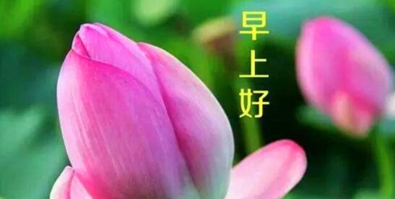 HOW IS GOING的意思