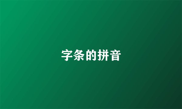 字条的拼音
