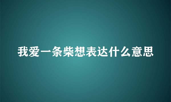 我爱一条柴想表达什么意思