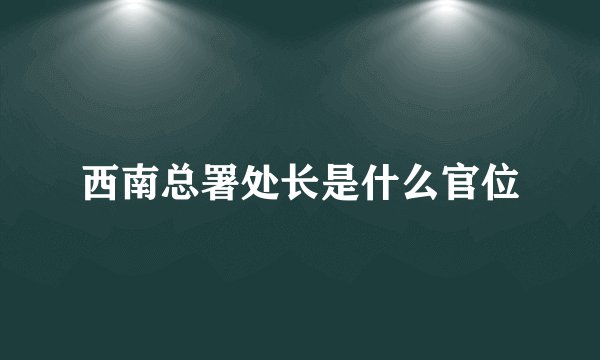 西南总署处长是什么官位