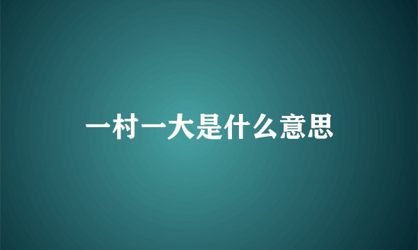 一村一大是什么意思