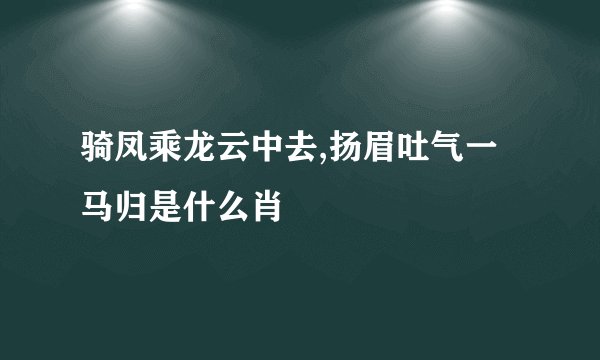 骑凤乘龙云中去,扬眉吐气一马归是什么肖