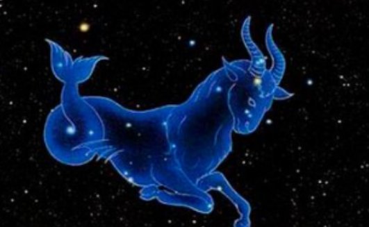 1月14日是什么星座?