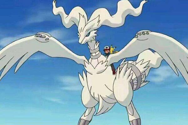 神奇宝贝十大稀有精灵