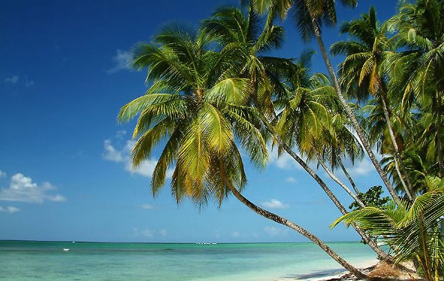 友谊之光国语版谁唱的