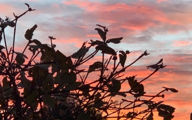 “乂氼”是什么意思?