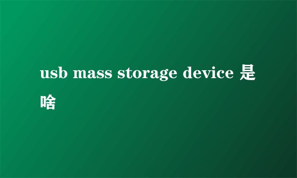 usb mass storage device 是啥