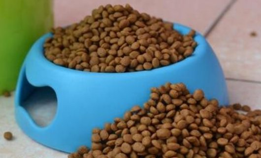 大家都给猫咪吃什么牌子的猫粮?