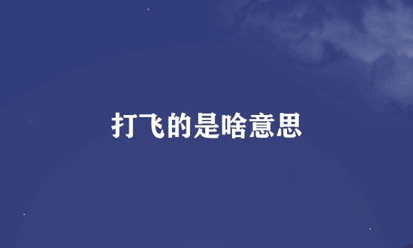 打飞的是啥意思