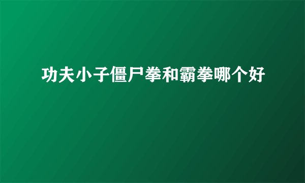 功夫小子僵尸拳和霸拳哪个好