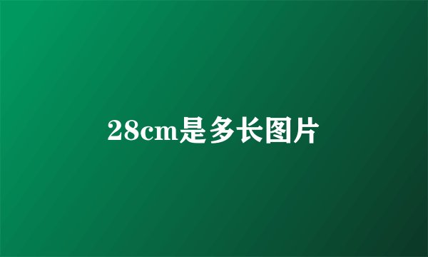 28cm是多长图片