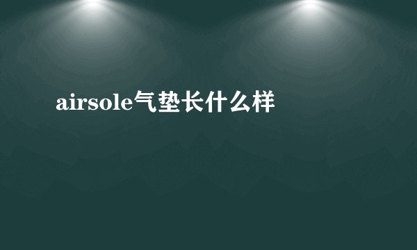 airsole气垫长什么样