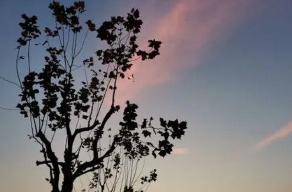 一拍即合的意思是什么