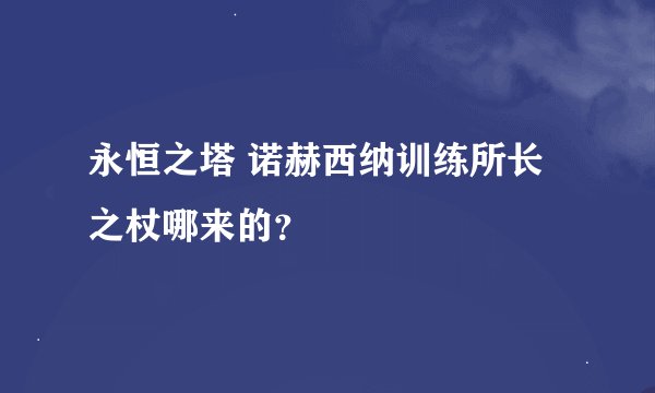 永恒之塔 诺赫西纳训练所长之杖哪来的？
