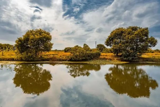 秋景表达思乡的诗句