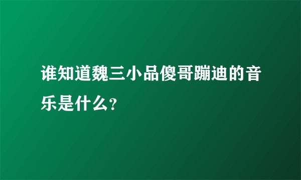 谁知道魏三小品傻哥蹦迪的音乐是什么？