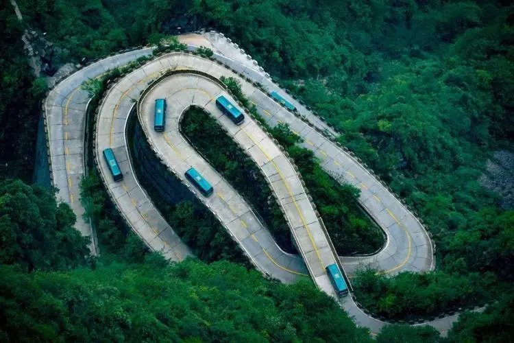 弯的是什么意思呀