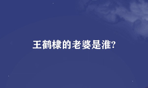 王鹤棣的老婆是淮?