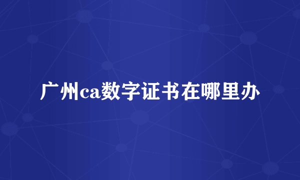 广州ca数字证书在哪里办