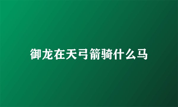 御龙在天弓箭骑什么马