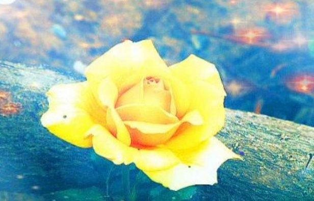 落叶不问归期是什么意思