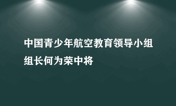 中国青少年航空教育领导小组组长何为荣中将