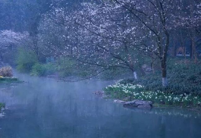 斜风细雨比喻什么生肖