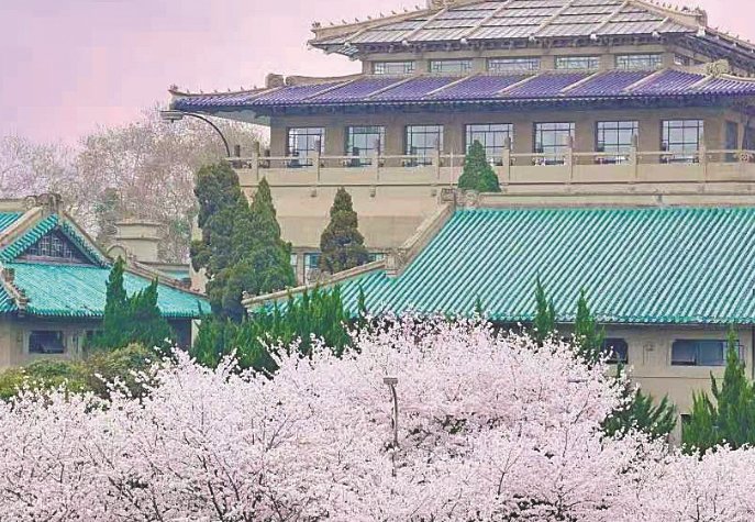 武大樱花盛开在几月