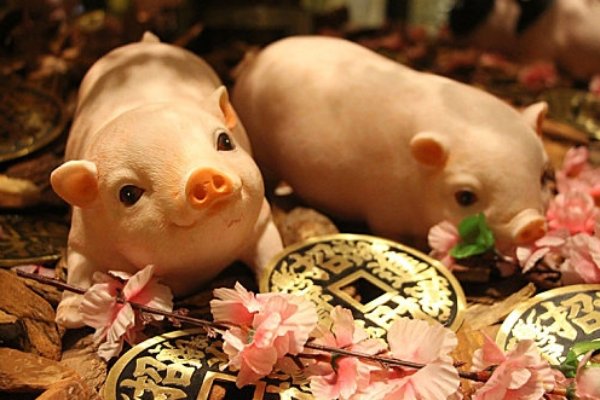 马首是瞻开过什么生肖