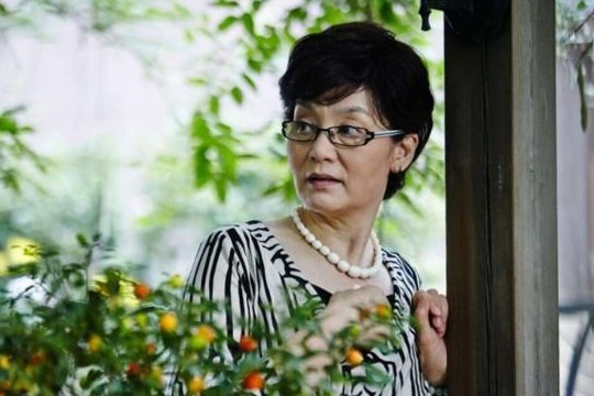 虎妈猫爸演员表介绍