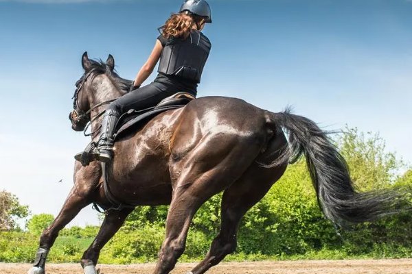 新月式与骑马式的区别