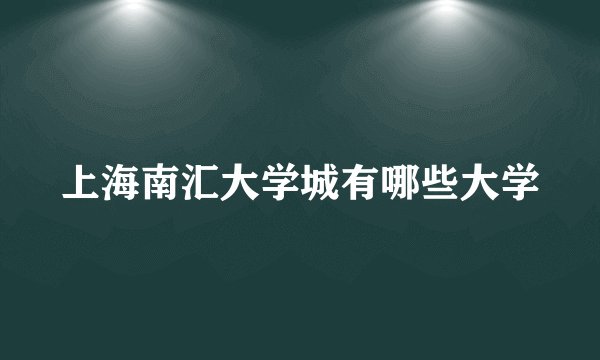 上海南汇大学城有哪些大学
