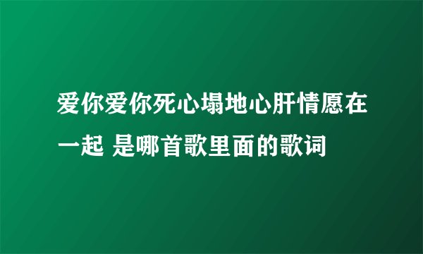 爱你爱你死心塌地心肝情愿在一起 是哪首歌里面的歌词