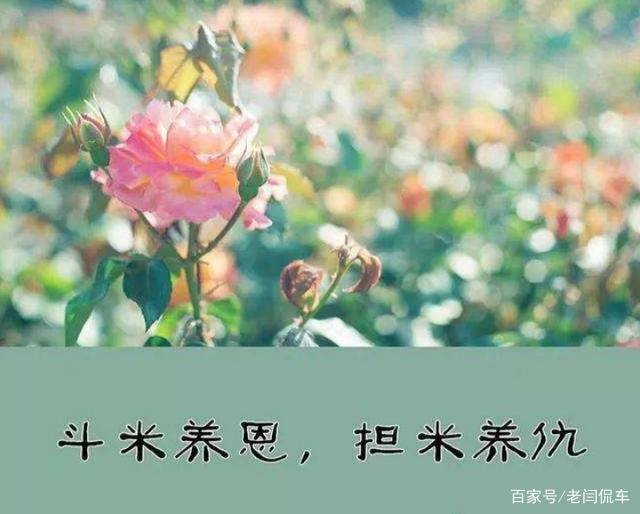 在农村,常听老人说“斗米养恩,担米养仇”是什么意思?