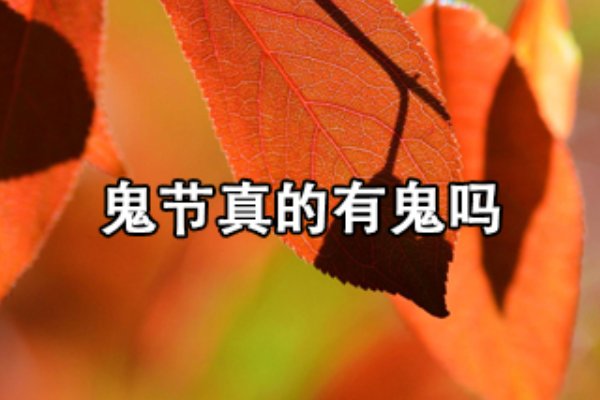 鬼节真的有鬼吗