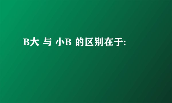 B大 与 小B 的区别在于: