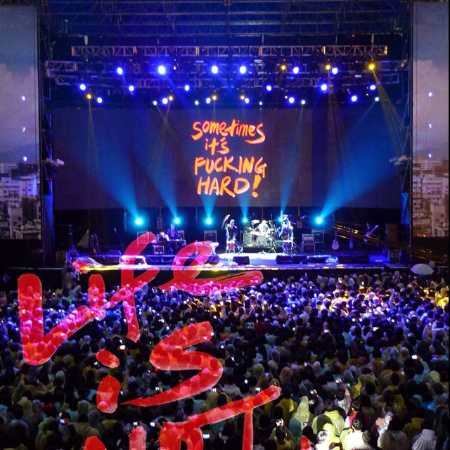 韦瓦第计划的介绍