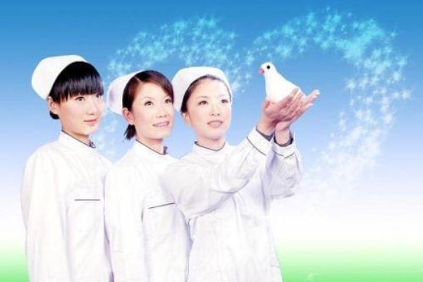 白衣天使做手术打一生肖