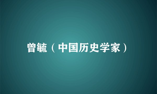 曾毓（中国历史学家）