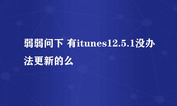 弱弱问下 有itunes12.5.1没办法更新的么