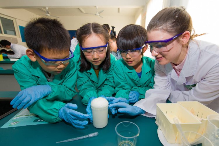 化学平衡的标志是什么？