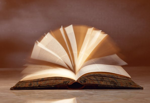 窥探意思是什么