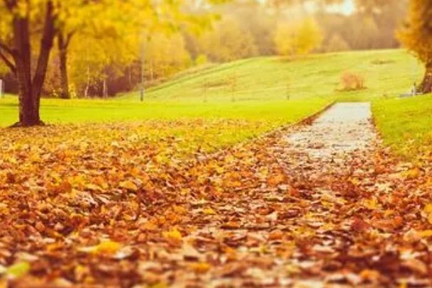 秋的现代诗自创