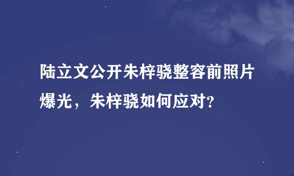 陆立文公开朱梓骁整容前照片爆光，朱梓骁如何应对？